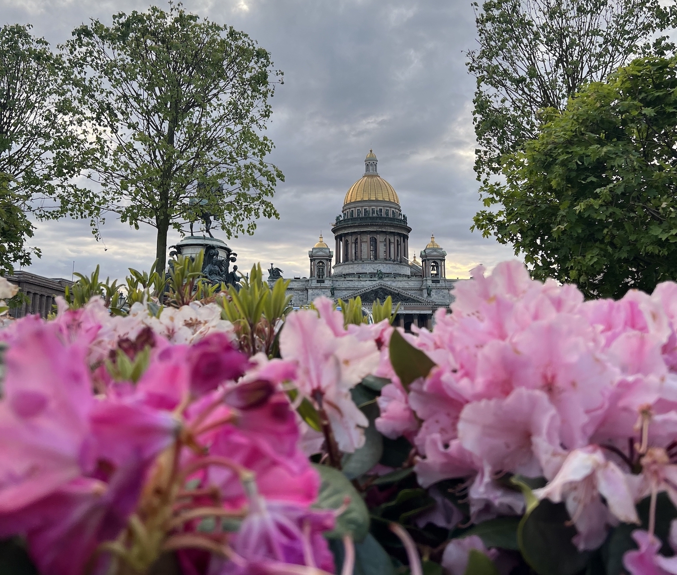 Сад-трансформер на Исаакиевской площади