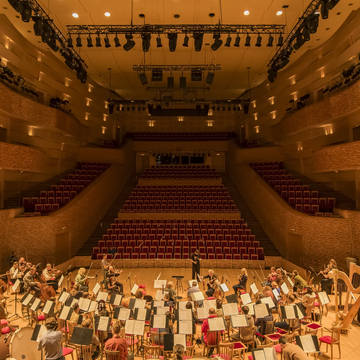 Концерт Ильи Папояна и Симфонического оркестра Мариинского театра в Концертном зале Мариинского театра Концерт Ильи Папояна и Симфонического оркестра Мариинского театра в Концертном зале Мариинского театра