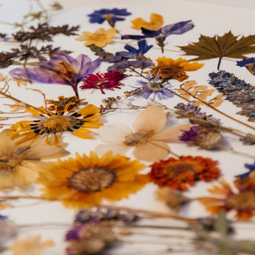 Мастер-класс «Интерьерная картина — гербарий» со скидкой 30% Мастер-класс «Интерьерная картина — гербарий» со скидкой 30%