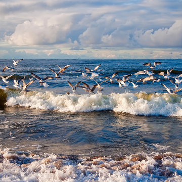 Индивидуальная экскурсия «Янтарное побережье: Светлогорск, Балтийск, Янтарный» Индивидуальная экскурсия «Янтарное побережье: Светлогорск, Балтийск, Янтарный» со скидкой 20%