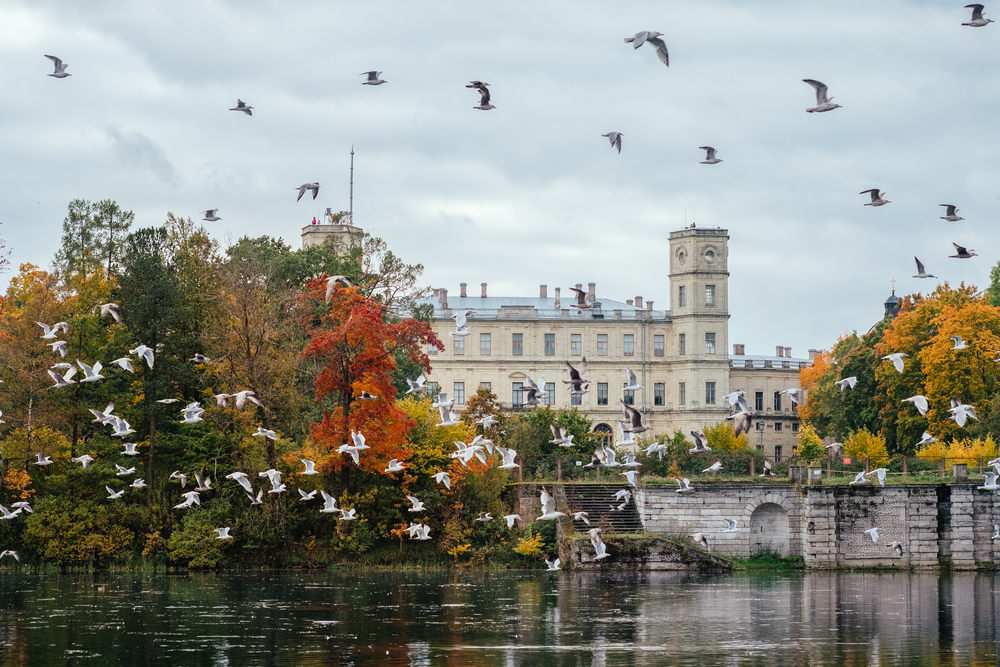 Автобусная экскурсия в Гатчину со скидкой до 45%