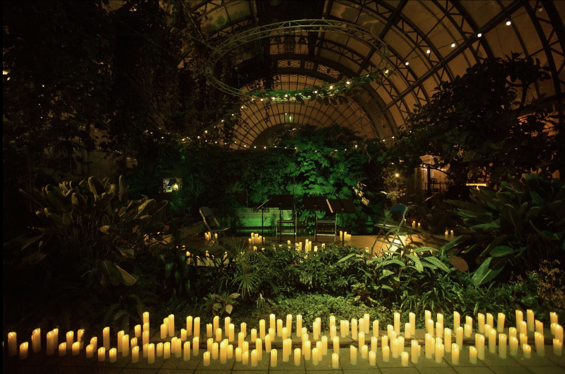 Концерт «Неоклассика при свечах. Людовико Эйнауди» в Оранжерее Таврического сада со скидкой 40%