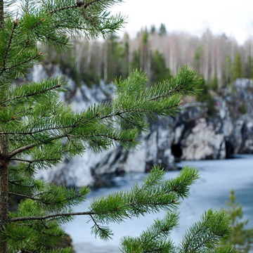 Двухдневный тур «Сафари по водопадам Карелии и парк «Рускеала» Двухдневный тур «Сафари по водопадам Карелии и парк «Рускеала» со скидкой до 47%