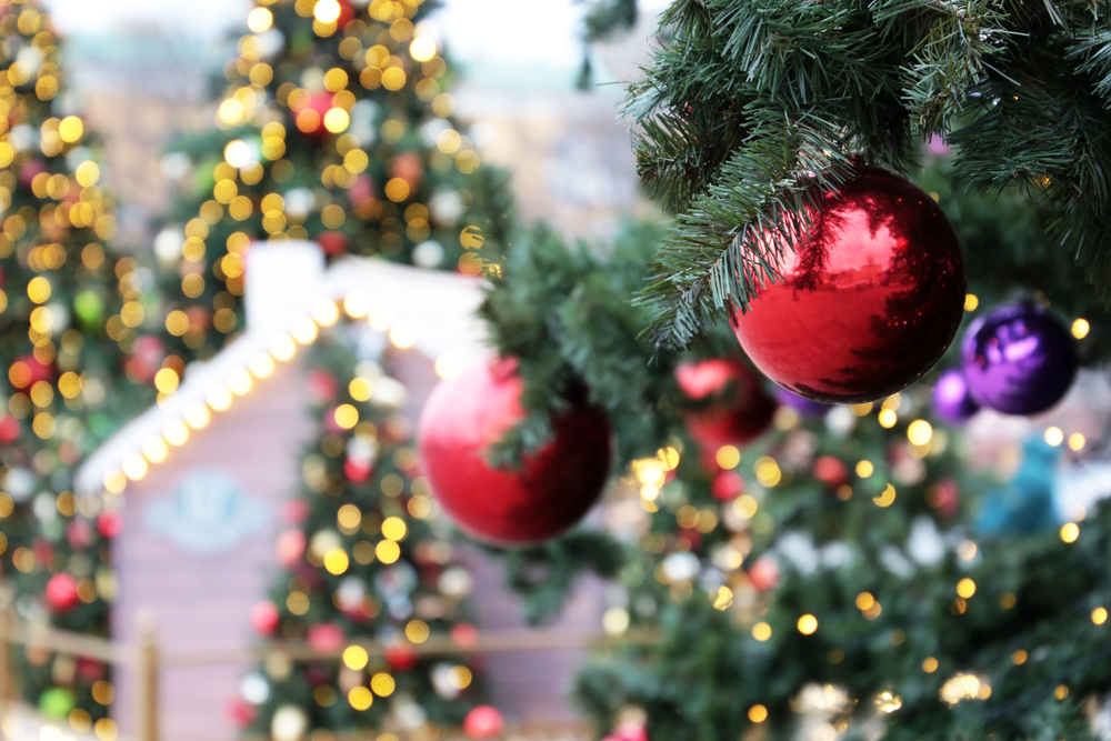 Автобусная экскурсия «К Новогодним звёздам синих куполов»