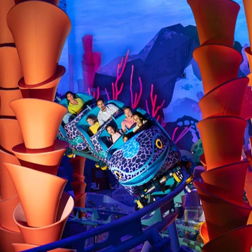 Семейный отдых в ОАЭ: туры для детей и взрослых