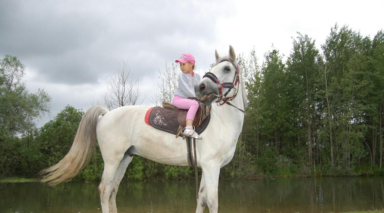 Прогулка на лошадях для ребенка в конном клубе «Космос» со скидкой 50%