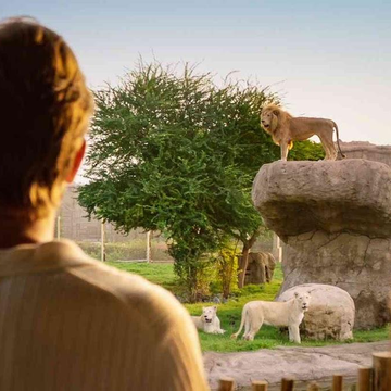 Зоопарк Dubai Safari Park из Аджмана