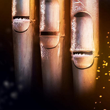 Концерт «Орган. В предчувствии Рождества» со скидкой 20%