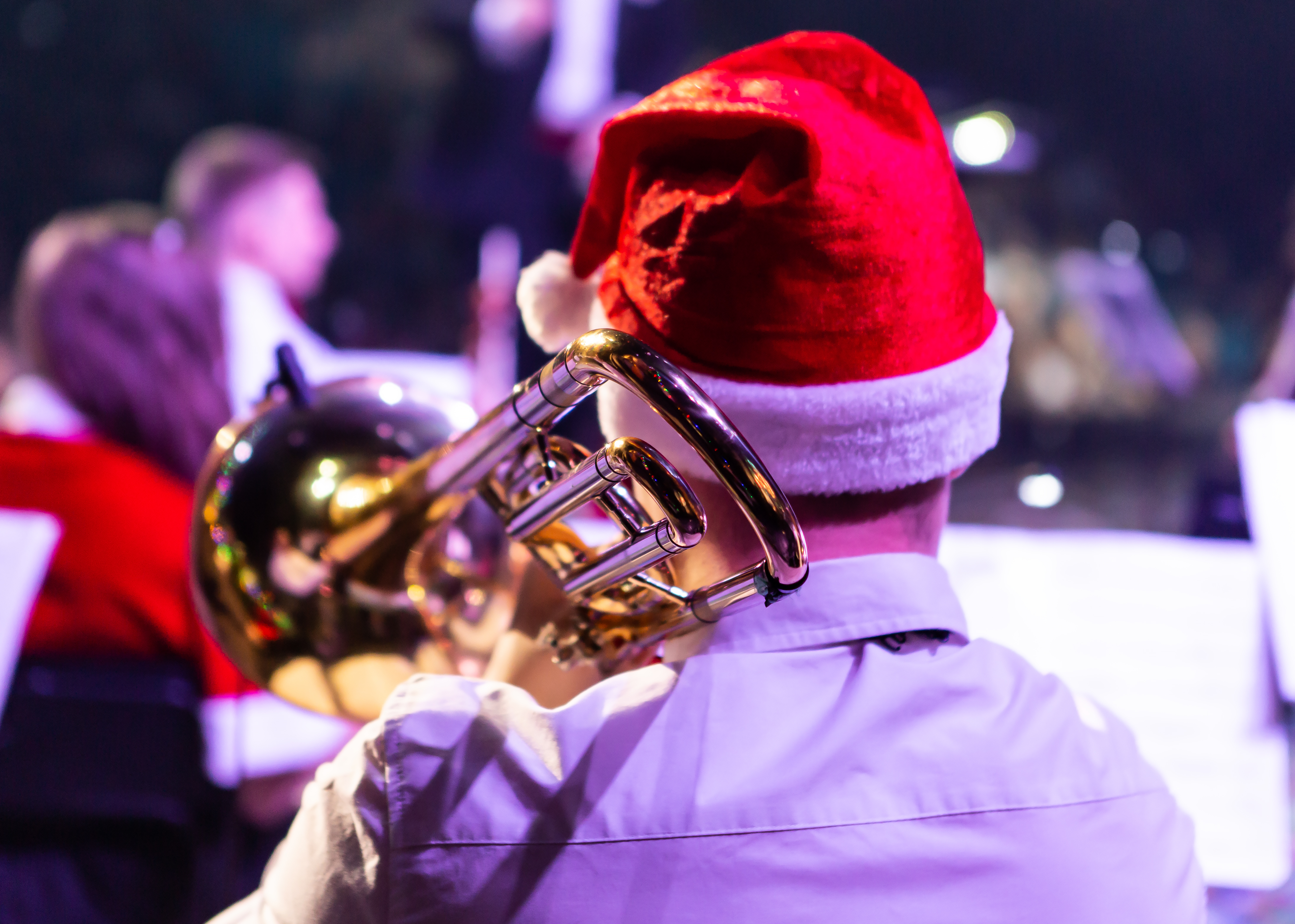 Концерт в особняке «Новый год в стиле джаз» Концерт в особняке «Новый год в стиле джаз» со скидкой 30%