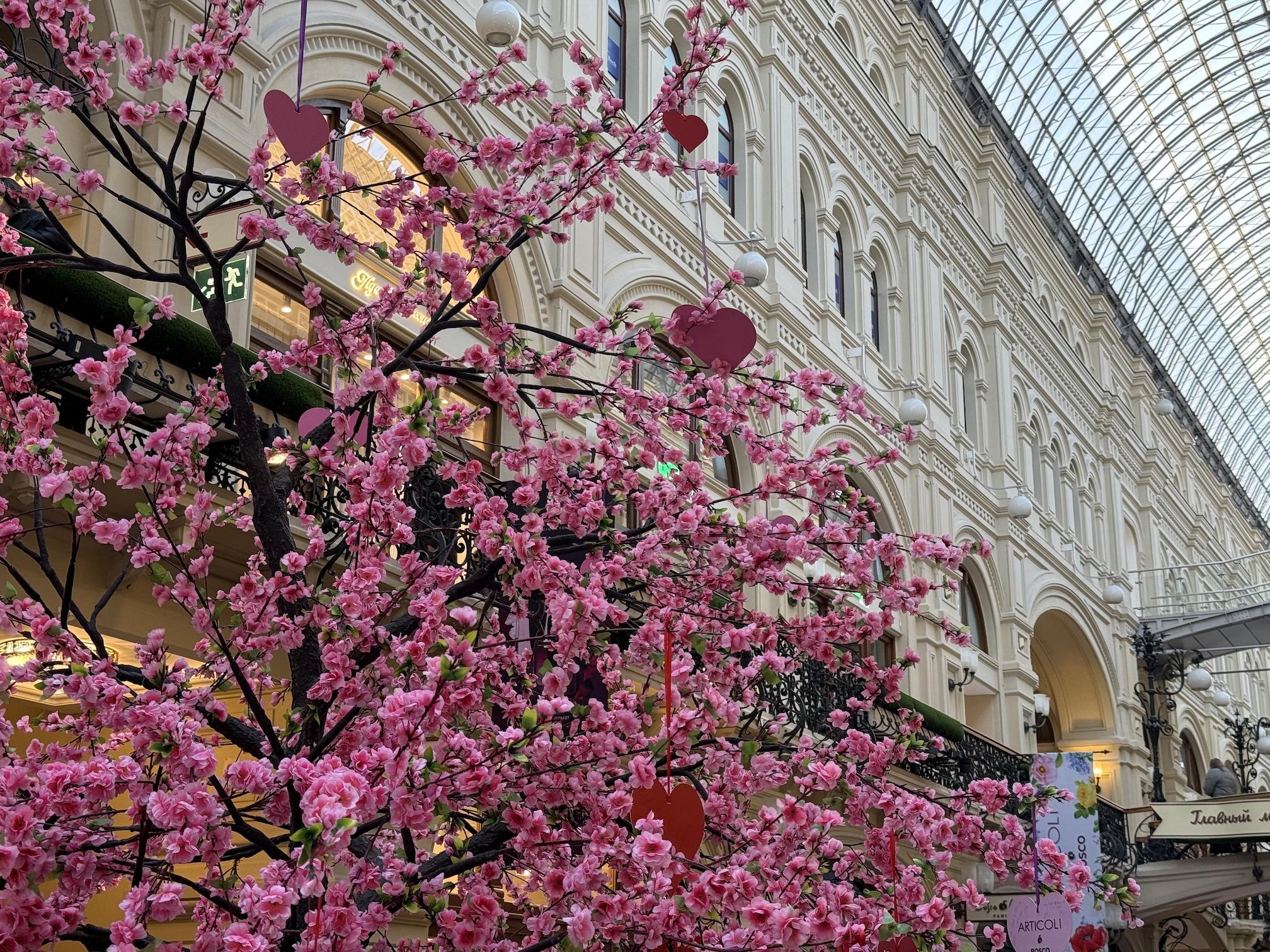 Весна в Москве: где сделать лучшее фото в 2026