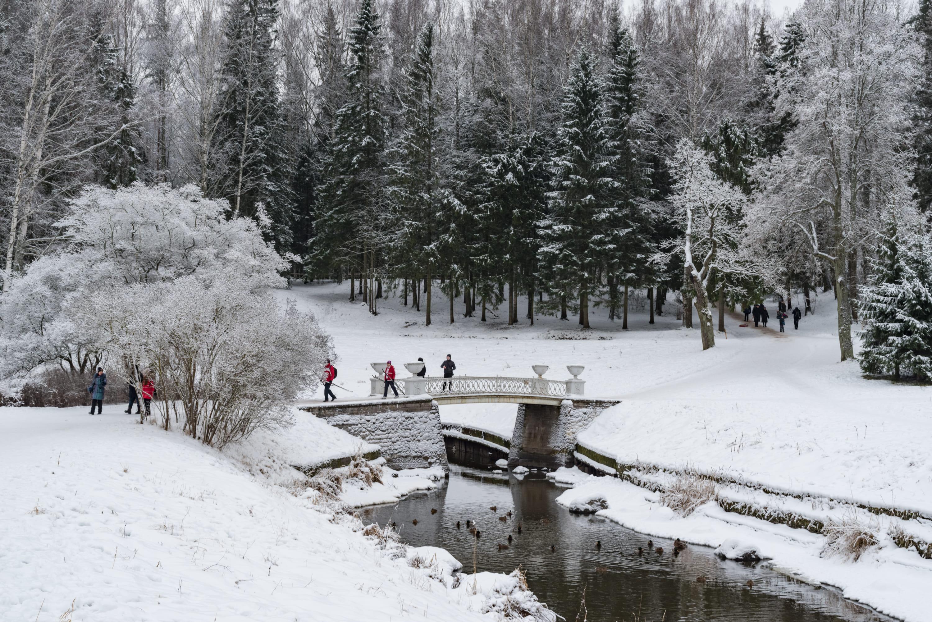 Из Петербурга на 1 день: топ экскурсий с ценами и отзывами
