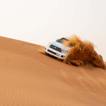 Вечернее сафари в Рас-эль-Хайме Вечернее сафари в Рас-эль-Хайме