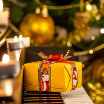 Органный концерт при свечах «Новый год под музыку Вивальди» со скидкой 30%