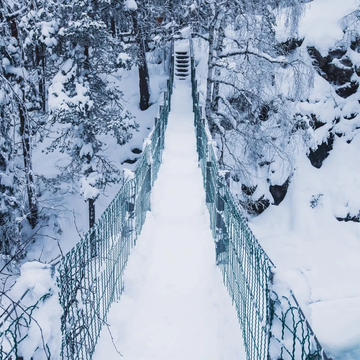 Трёхдневный тур «Карельский Новый год в Петрозаводске: в гости к Деду Морозу Талви Укко» Трёхдневный тур «Карельский Новый год в Петрозаводске: в гости к Деду Морозу Талви Укко» со скидкой 49%