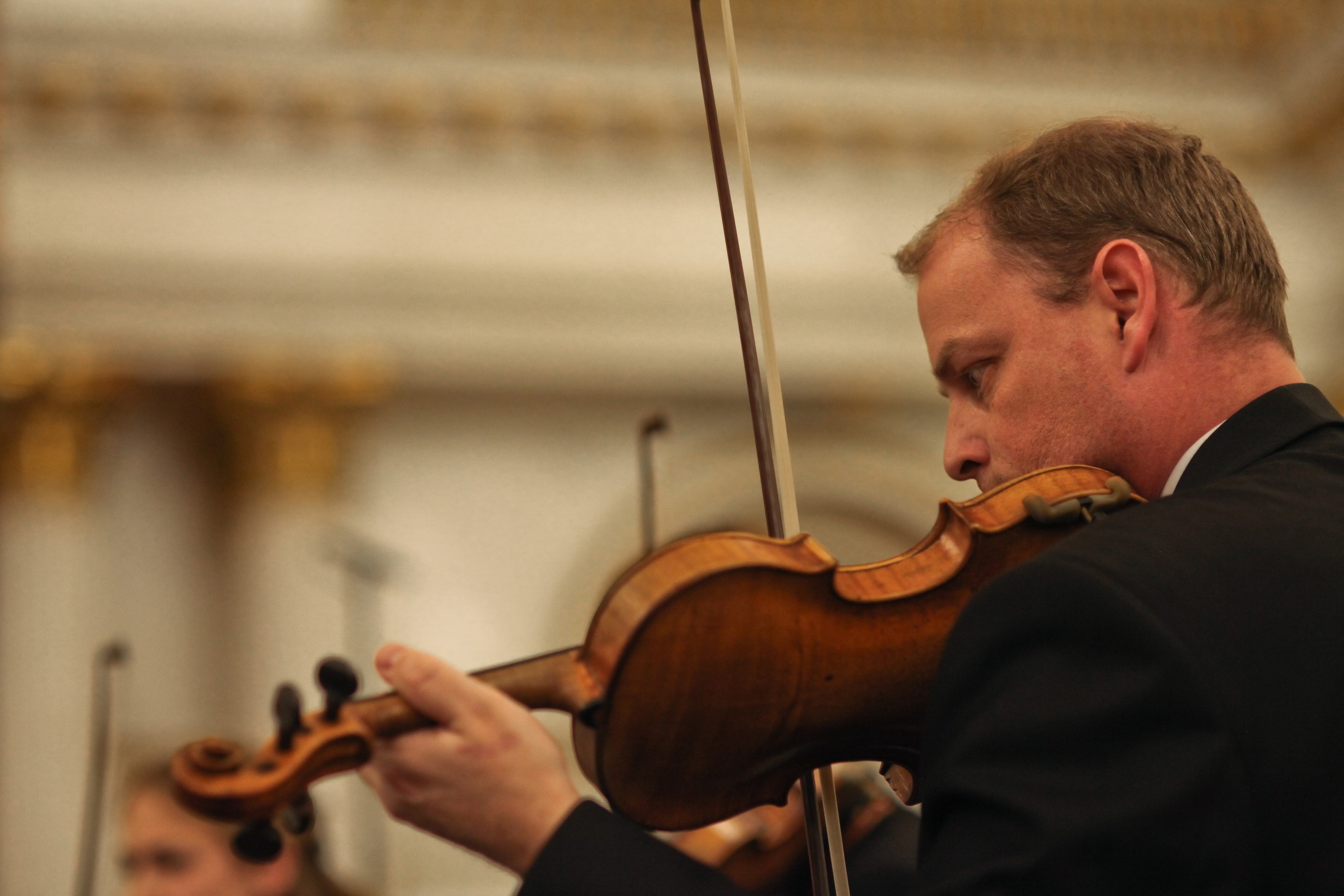 Концерт «Вивальди. Времена года» в Эрмитаже со скидкой 30%