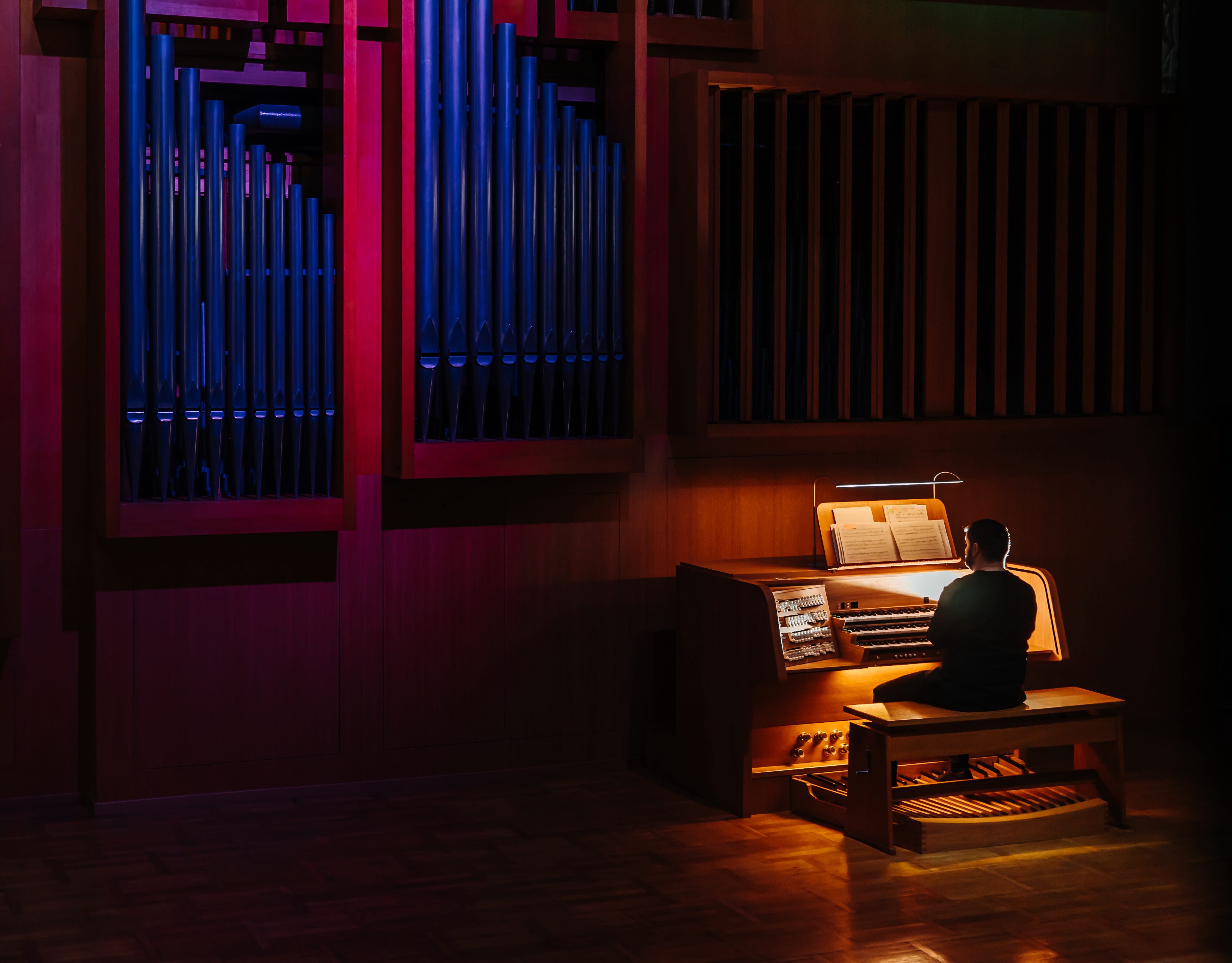 Концерт «Орган и саксофон при свечах: лунный свет над Невой» со скидкой 30%