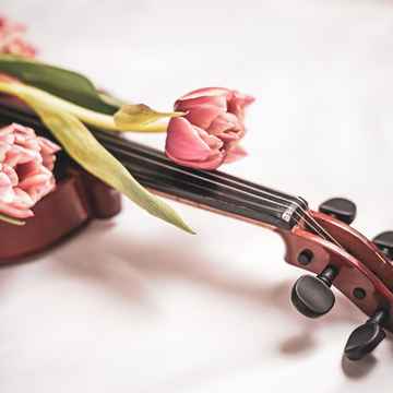 Концерт «Вивальди и Пьяццолла: От Венеции до Буэнос-Айреса» в Александро-Невской лавре Концерт «Вивальди и Пьяццолла: От Венеции до Буэнос-Айреса» в Александро-Невской лавре со скидкой 30%