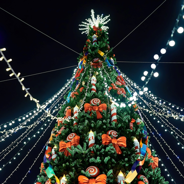 Новогодний концерт «Орган при свечах в готическом соборе» со скидкой 30%