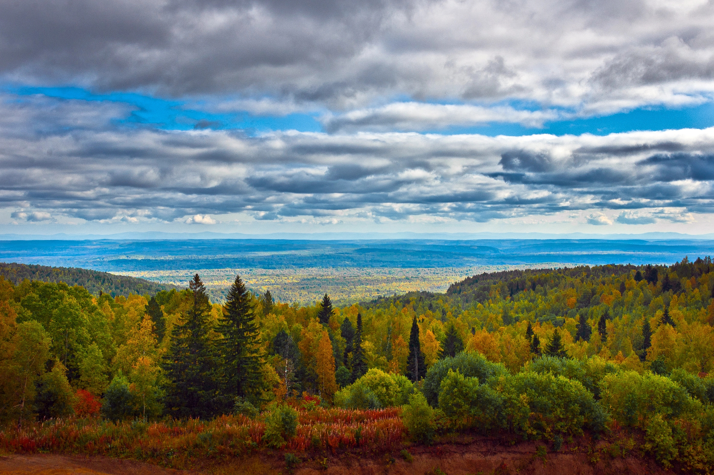 Пешеходная экскурсия в парк «Красноярские столбы»