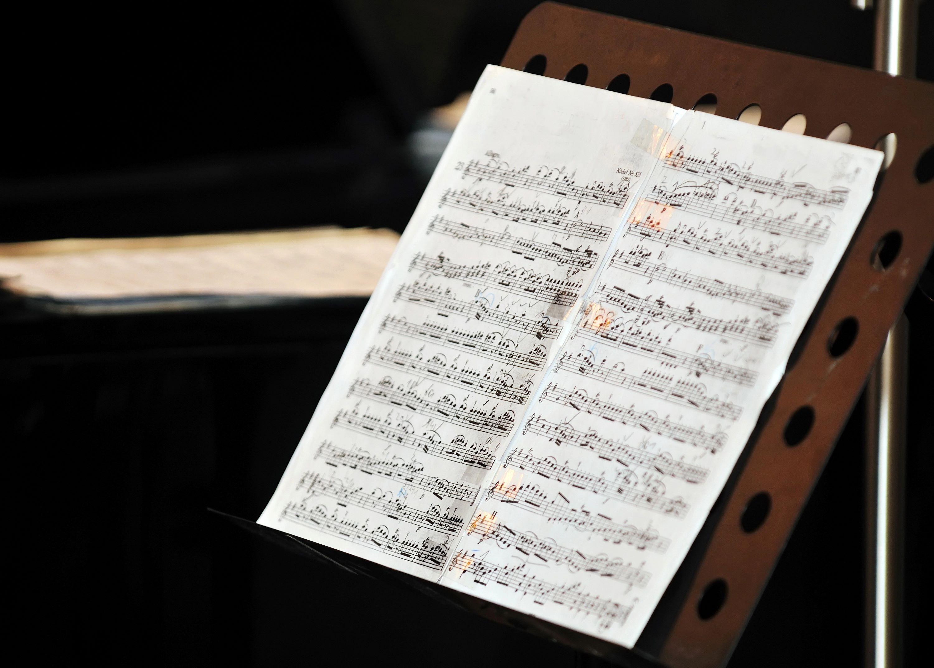 Концерт «"Времена года" Вивальди и шедевры классики» во Владимирском дворце с экскурсией со скидкой 30%