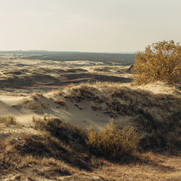 Индивидуальная экскурсия «Куршская коса, Зеленоградск и сыроварня Шаакендорф» Индивидуальная экскурсия «Куршская коса, Зеленоградск и сыроварня Шаакендорф» со скидкой 20%