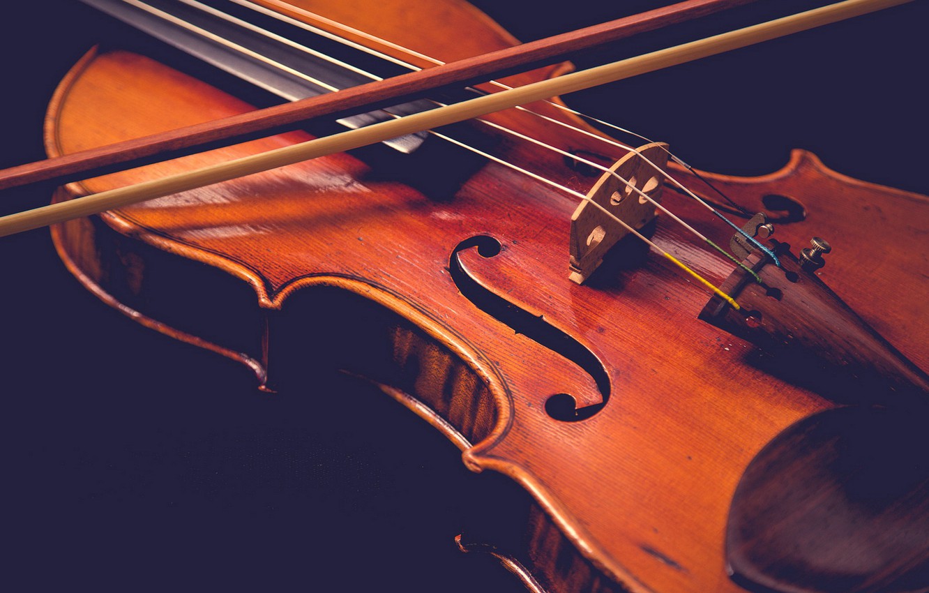 Концерт «Апрель по-королевски: скрипка и орган» со скидкой 50%