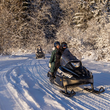 Катание на сибирских санях в Сортавале