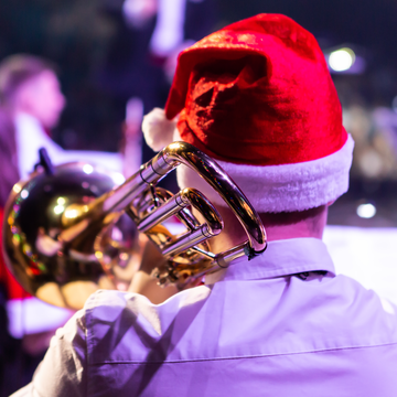 Концерт в особняке «Новый год в стиле джаз» Концерт в особняке «Новый год в стиле джаз» со скидкой 30%