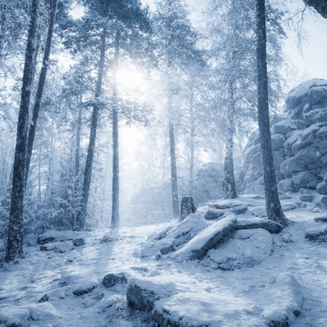 Индивидуальная экскурсия по древним городищам Екатеринбурга со скидкой 20%