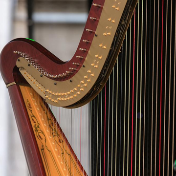 Концерт «Кельтская арфа при свечах» со скидкой 30%