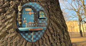 Маленькие двери гномов на деревьях Петербурга: фото и адреса