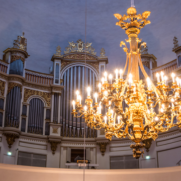 Концерт «Балет и орган при свечах. Белое адажио («Лебединое озеро»), Сен-Санс “Лебедь”» со скидкой 30%