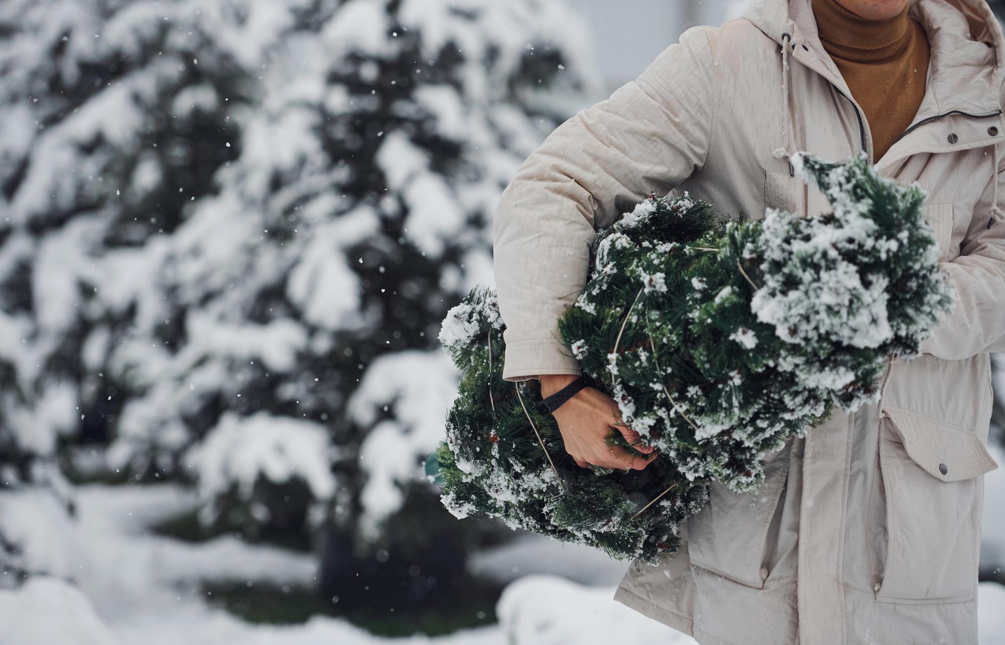 Новогоднюю ёлку можно бесплатно провозить в электричках Москвы
