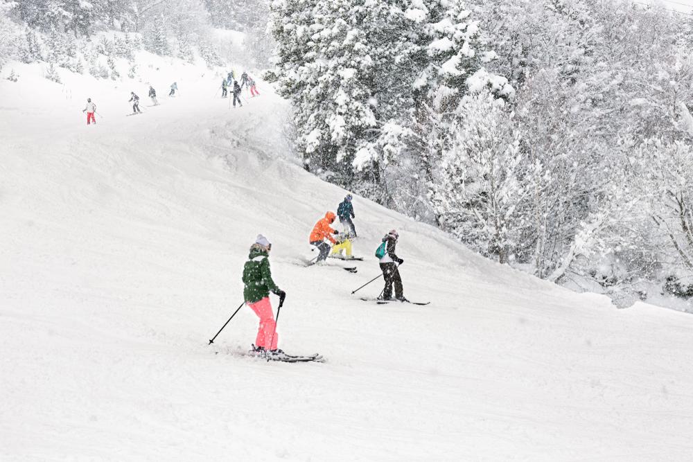 Лыжные стрелы 2026 в Петербурге: маршруты, расписание и бесплатные билеты