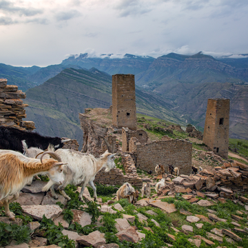 Автобусная экскурсия «Страна башен: Гоор и Карадахская теснина» с прогулкой на джипах из Каспийска