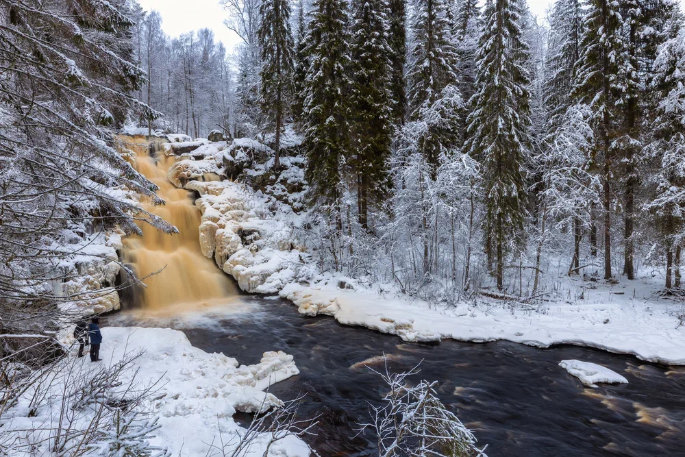 Однодневный тур «День в сердце Карелии: Рускеала, хаски, северные олени и царство водопадов» Однодневный тур на новогодние праздники «День в сердце Карелии: Рускеала, хаски, северные олени и царство водопадов» со скидкой 48%