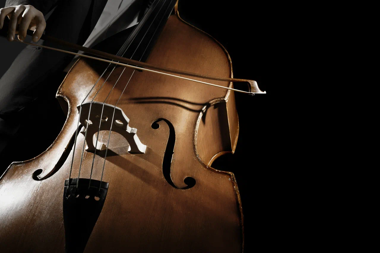 Вечер музыки для виолончели и фортепиано