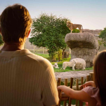 Зоопарк Dubai Safari Park по тарифу Explorer из Рас-эль-Хаймы Зоопарк Dubai Safari Park по тарифу Explorer из Рас-эль-Хаймы