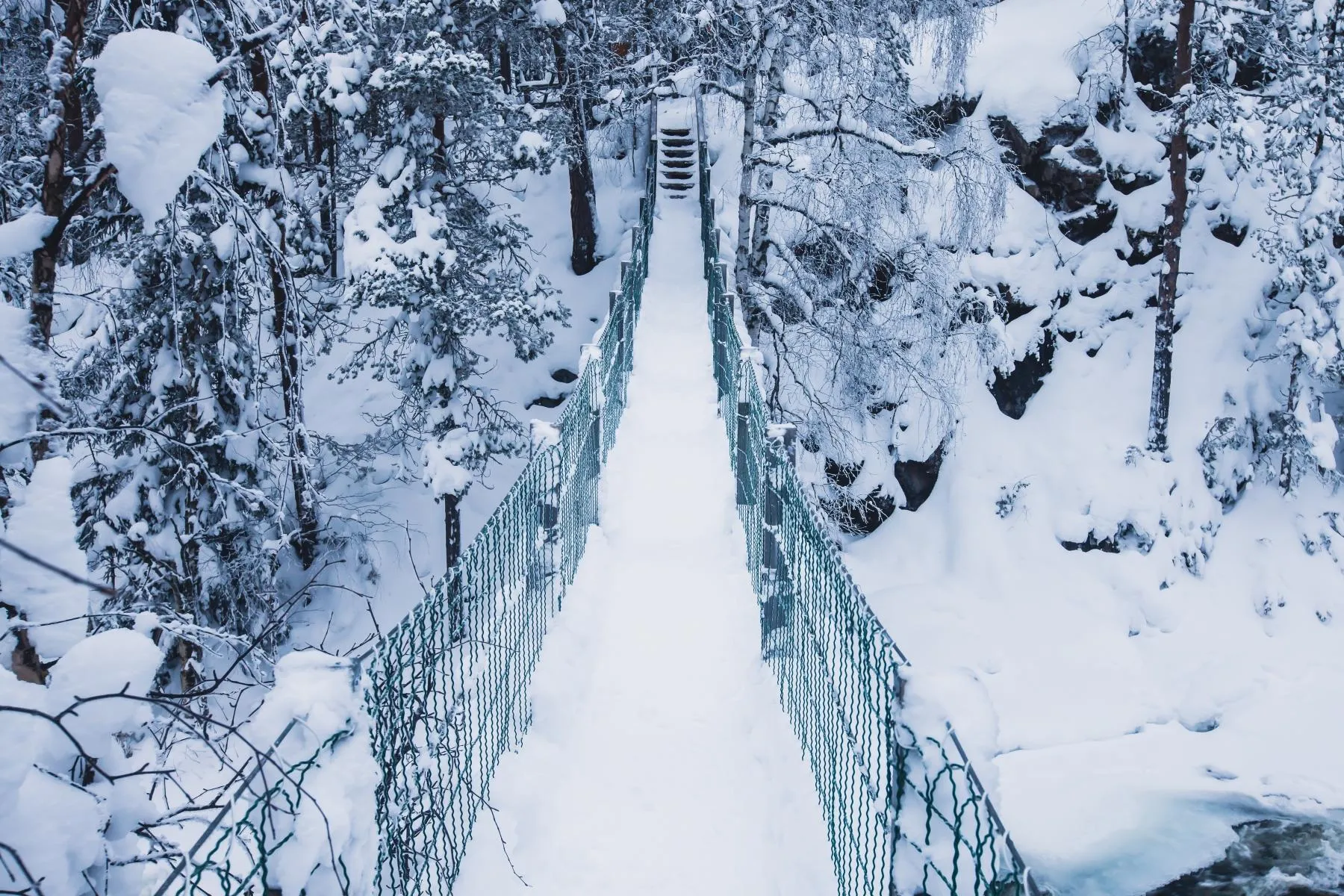 Трёхдневный тур «Карельский Новый год в Петрозаводске: в гости к Деду Морозу Талви Укко» со скидкой 49%