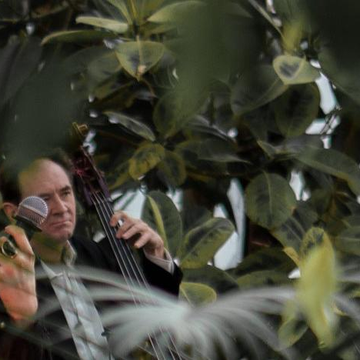 Концерт при свечах «Новогодние хиты ABBA и не только» в Оранжерее Таврического сада со скидкой 30%