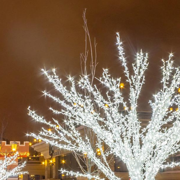 Экскурсия по новогодней Казани «Загадай желание под ёлкой!» Экскурсия по новогодней Казани «Загадай желание под ёлкой!» со скидкой 20%