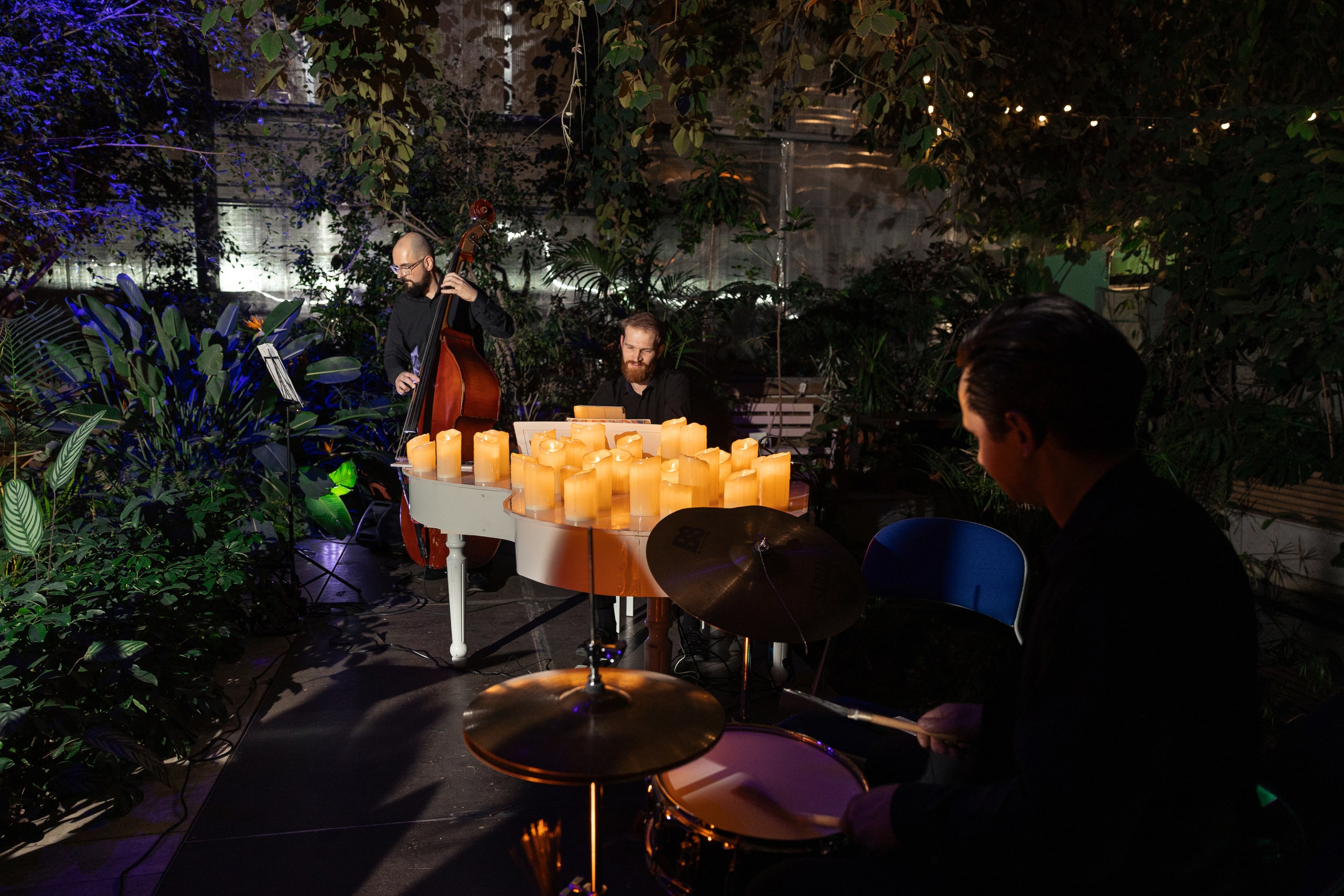 Концерт при свечах «Лаунж-джаз» в Оранжерее Таврического сада со скидкой 30%