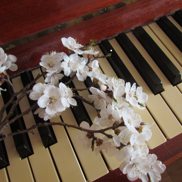 Концерт «Ветка сирени. Бах, Шопен, Шуман, Рахманинов» со скидкой 50%