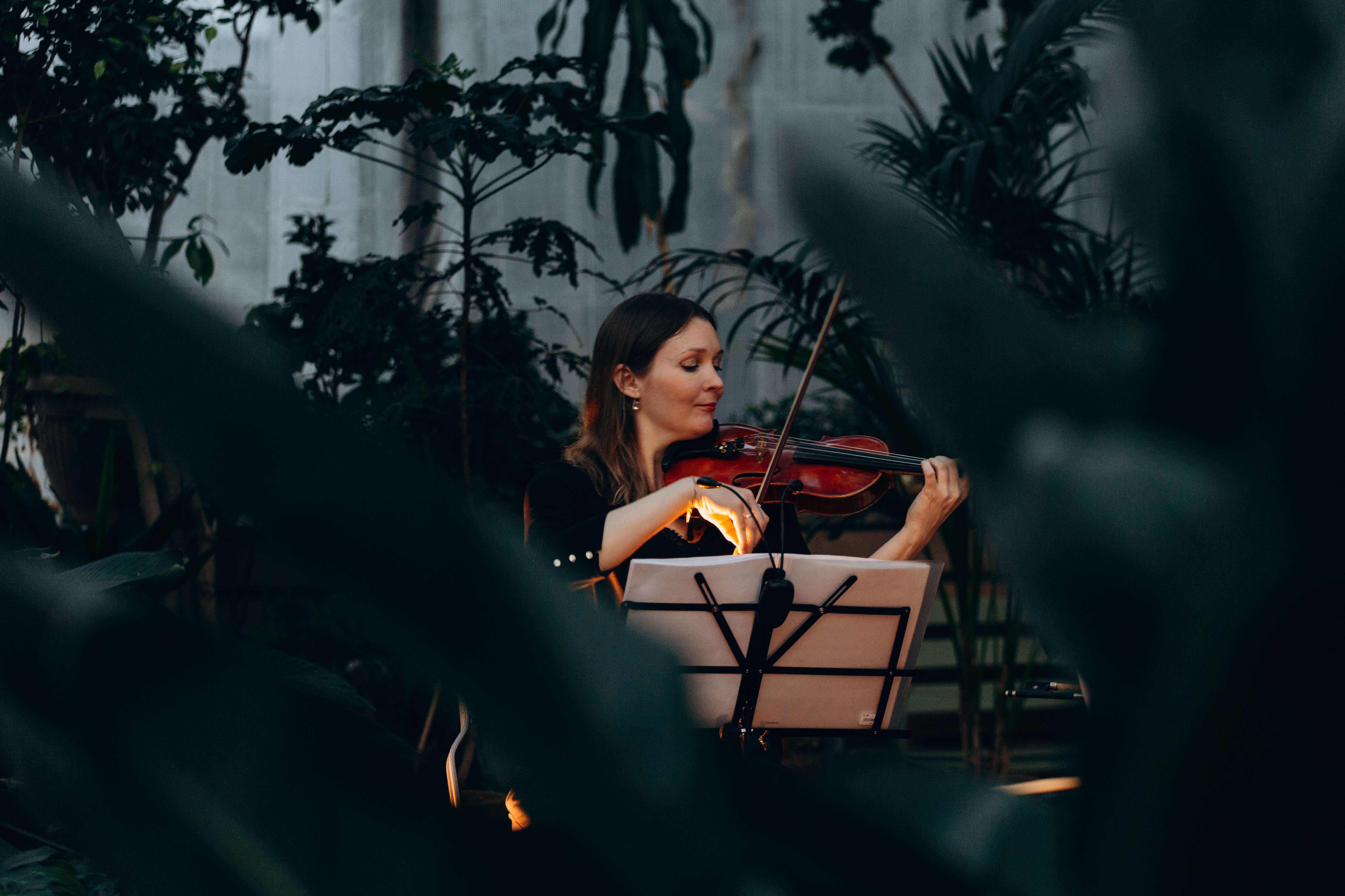 Концерт при свечах «Времена года. Vivaldi vs. Piazzolla» в Оранжерее Таврического сада со скидкой 50%