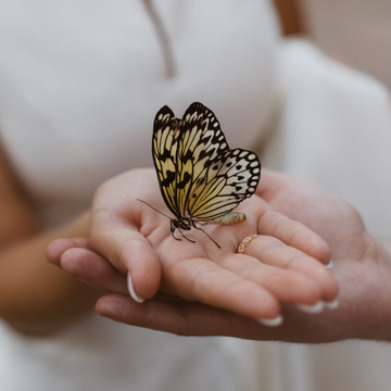 Посещение парка бабочек со скидкой 40% Посещение парка бабочек со скидкой 40%