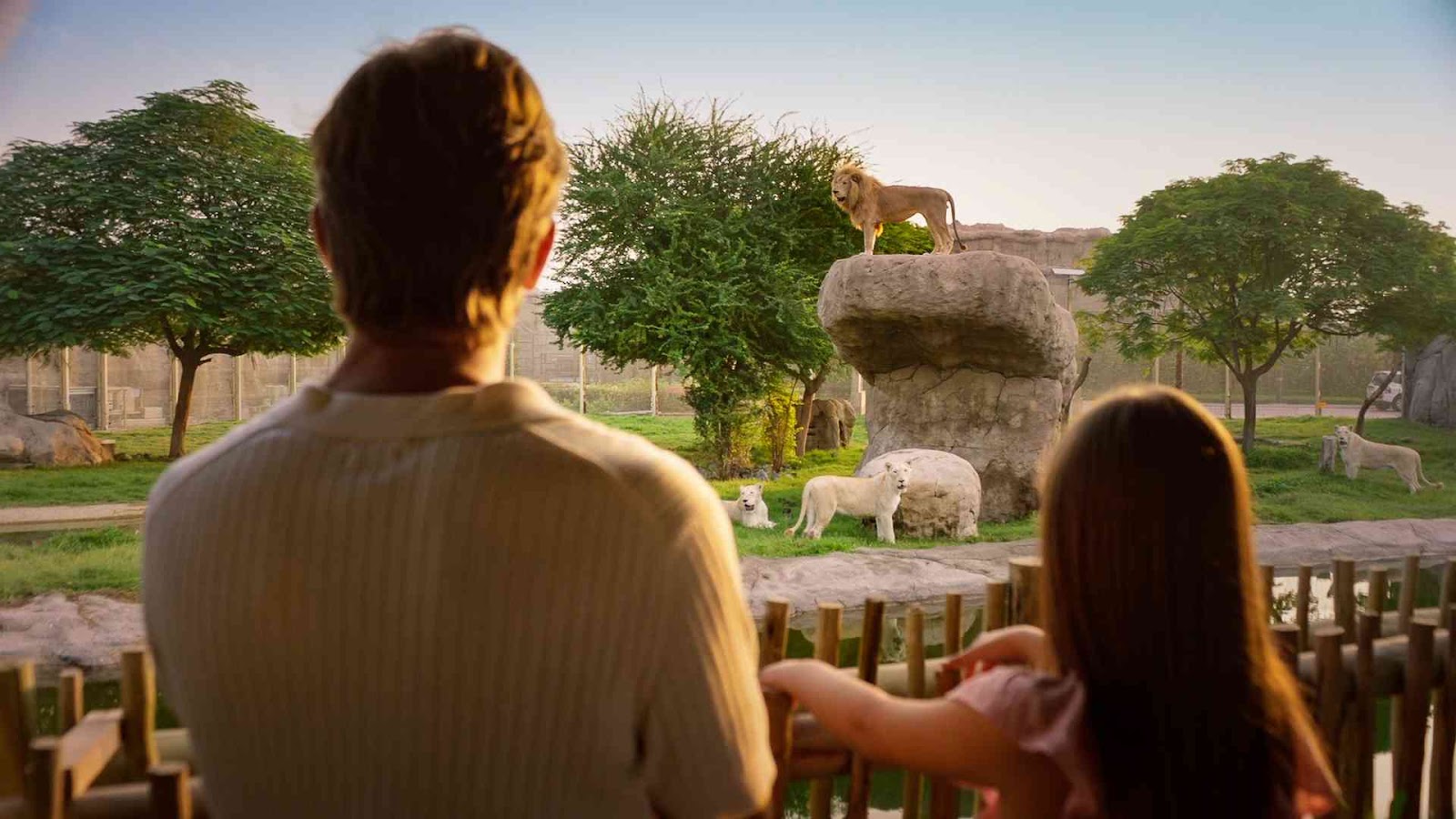 Зоопарк Dubai Safari Park по тарифу Explorer из Рас-эль-Хаймы Зоопарк Dubai Safari Park по тарифу Explorer из Рас-эль-Хаймы