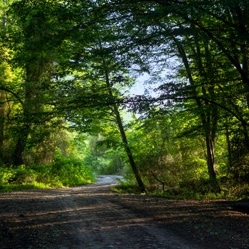 Индивидуальная экскурсия «Самурский лес и экраноплан "Лунь"»