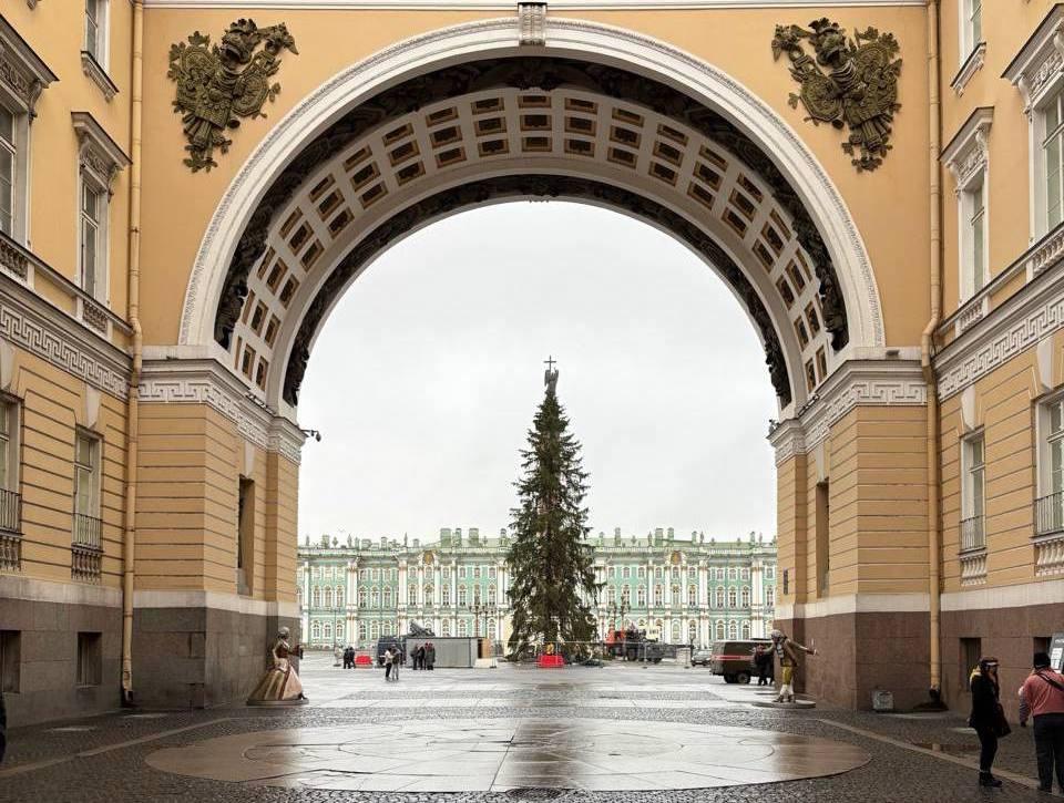 Елку к Новому году 2026 установили на Дворцовой площади