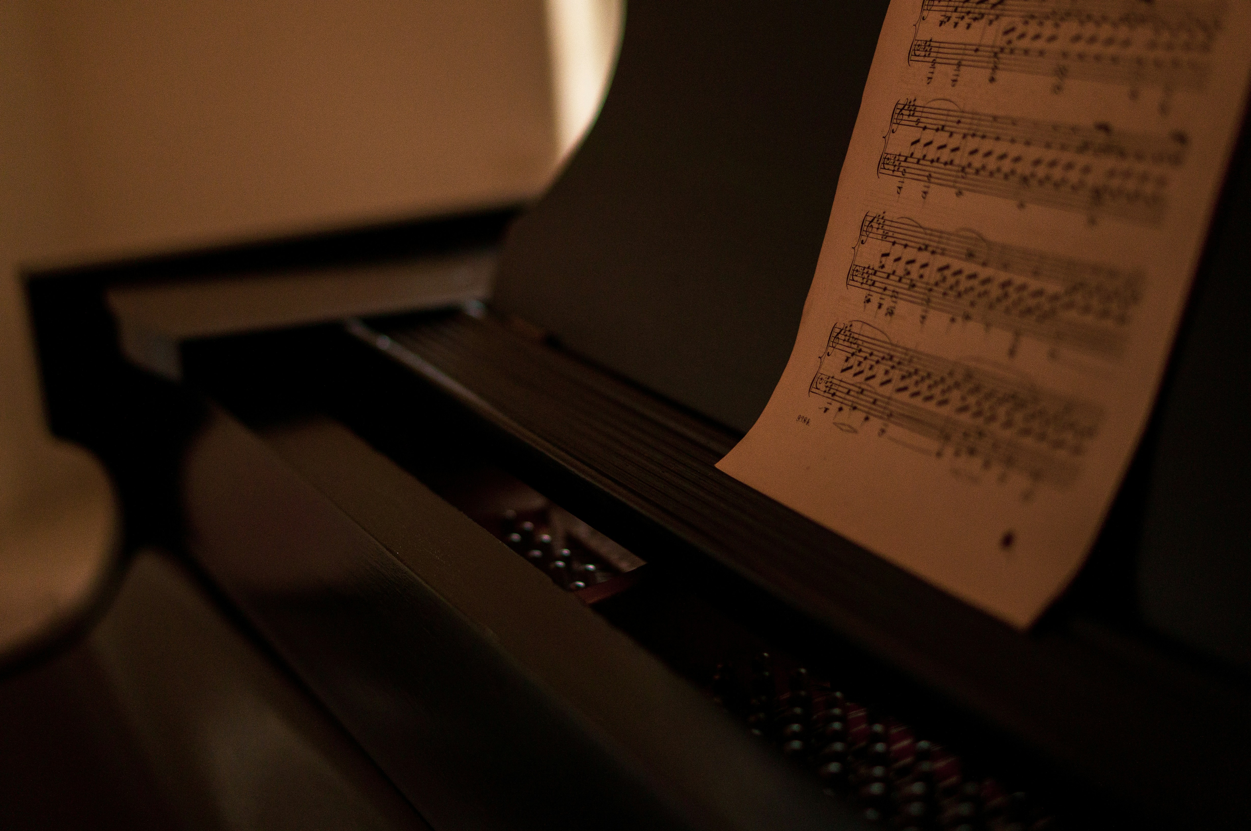 Органный концерт «Бах и итальянская клавирная традиция» в Петрикирхе со скидкой 35%
