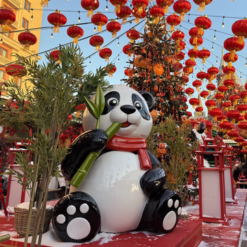 Двухдневный тур «Яркие выходные в Москве: Китайский Новый год и русская Масленица» Двухдневный тур «Яркие выходные в Москве: Китайский Новый год и русская Масленица»